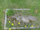 image of grave number 137978